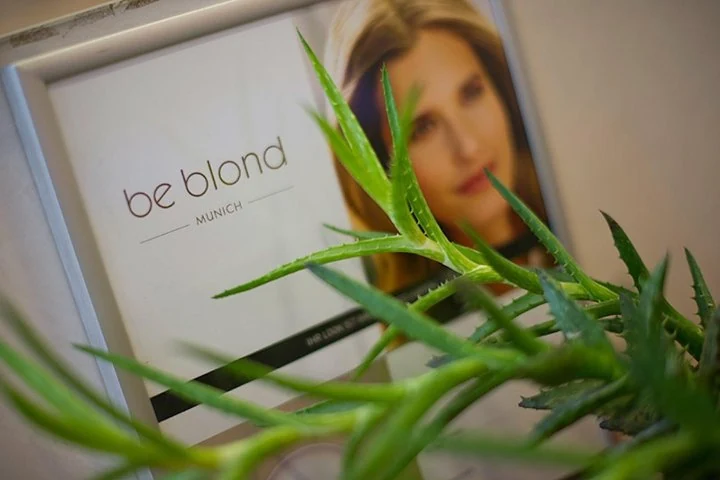 be blond | Spezialisten für Blond - munich