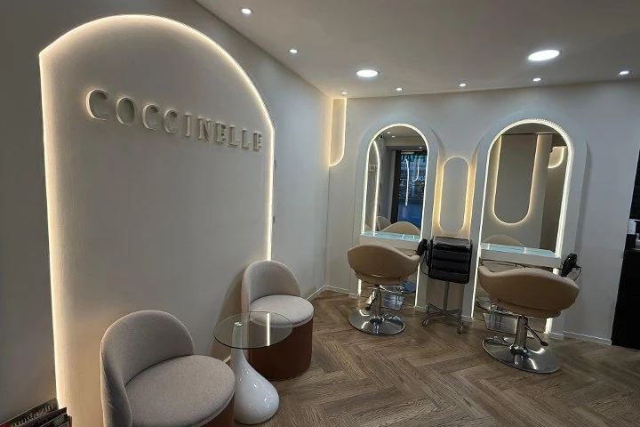 Coccinelle