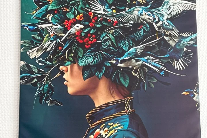 D&D Hair Atelier