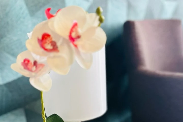 Deva Royal Thai Wellness & Massage Düsseldorf