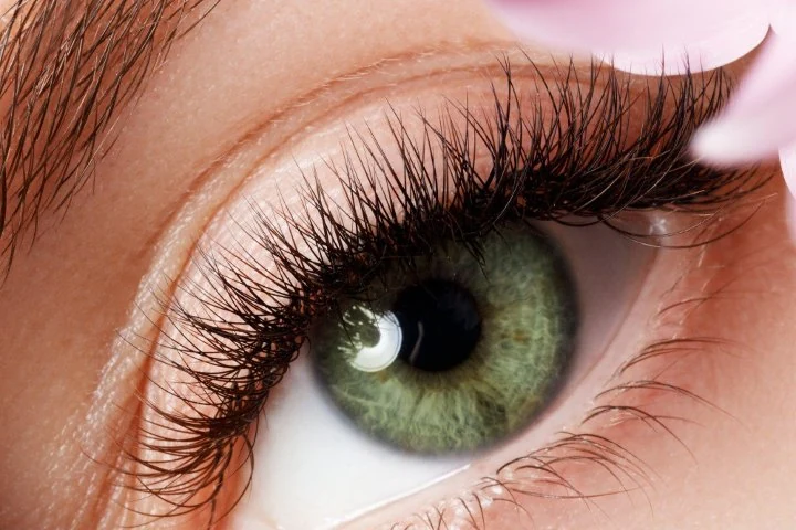Maggie Lashes