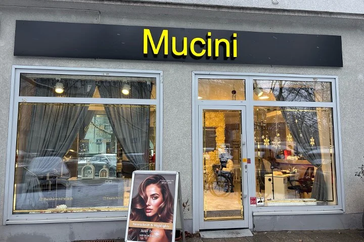 Mucinii