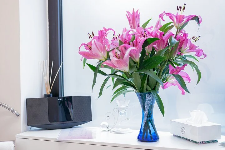 Zuckerglatt Studio
